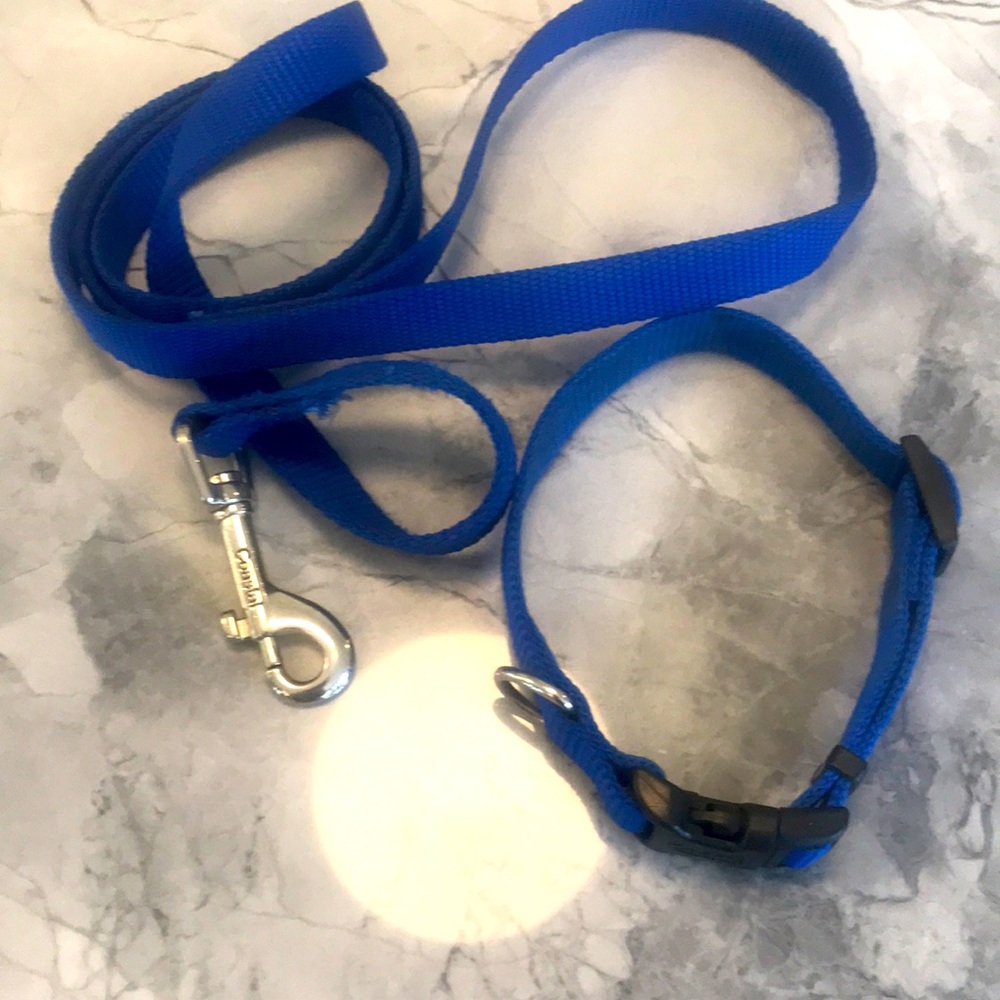 Puppy collar and leash